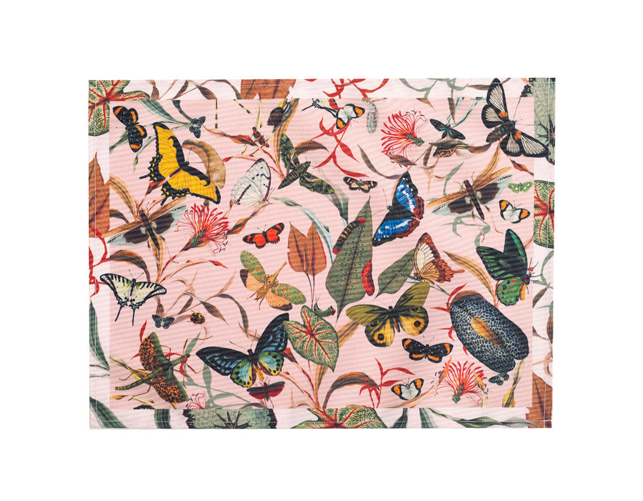 Peach Butterfly / Individual